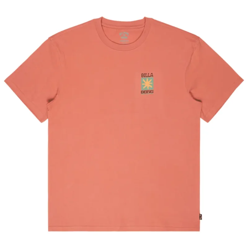 Vente Flash Tee-shirt Billabong Good Times Short Sleeve Dusty Rose