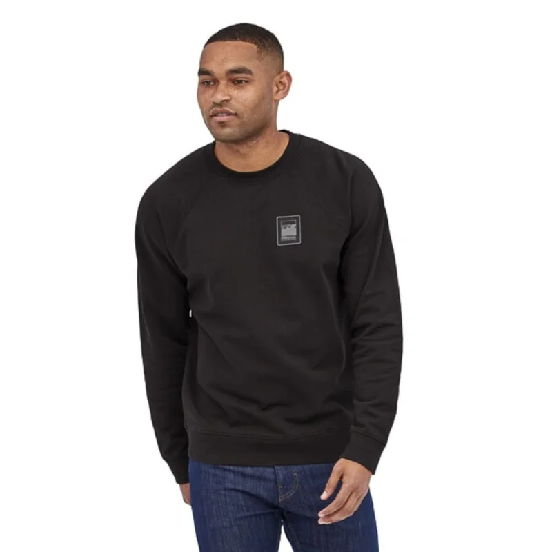 Top Vente PULL PATAGONIA ALPINE ICON REGENERATIVE ORG CERT COT