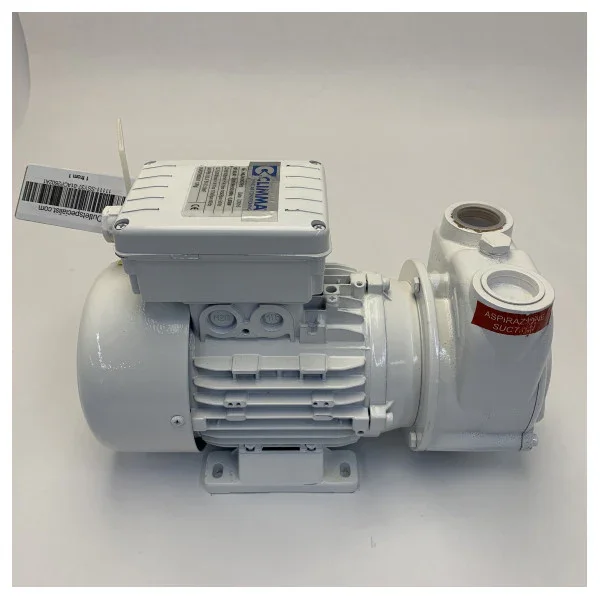 Gianneschi CP26 A1 230V Self Priming Brass Pump - 01ACP2602A1 Seulement Aujourd'hui