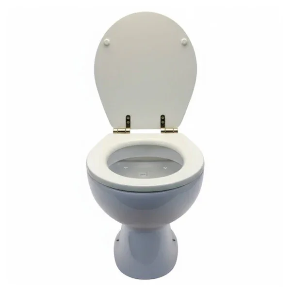 Planus Elite 24V Marine Electric Toilet High with SoftClose Commande En Gros