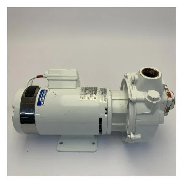 Gianneschi BMA-S 32/125 A1 Self Priming Brass Pump 24V 1.1 kW Prix Bas