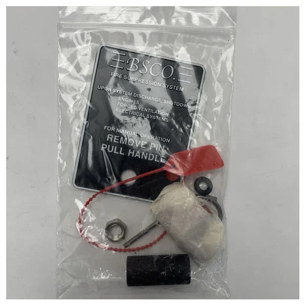 BSCO Manual Fire Suppression System Release - 520020 Meilleur Choix