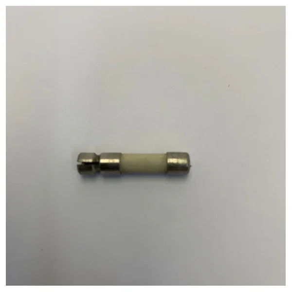 Prix Bas Glass fuse 5x25mm Slow-blow 1A - F5X25T1A - Set of 27 pieces