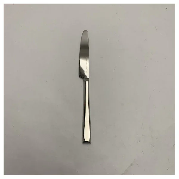 Expédié Aujourd'hui Richard Ginori 1735 Stainless Steel Marine Table Knife Corrosion Resistant