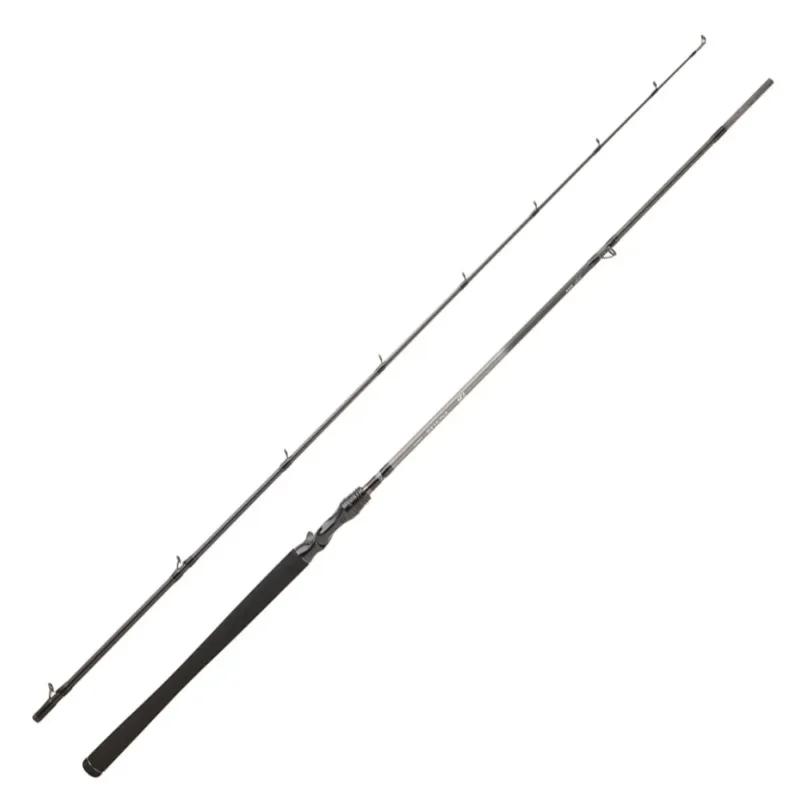 Daiwa Canne baitcasting Exceler 2 Sections Livraison Express