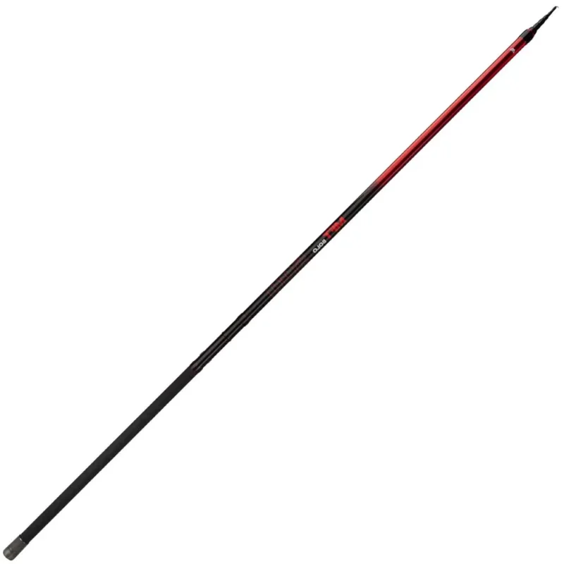 Mikado Canne bolognaise MFT Expédié Aujourd'hui