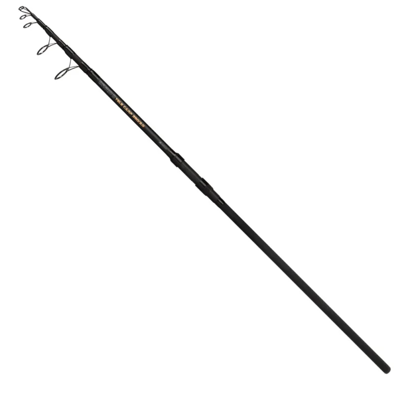 Mikado Canne carpfishing Intro II Tele Prix Promo