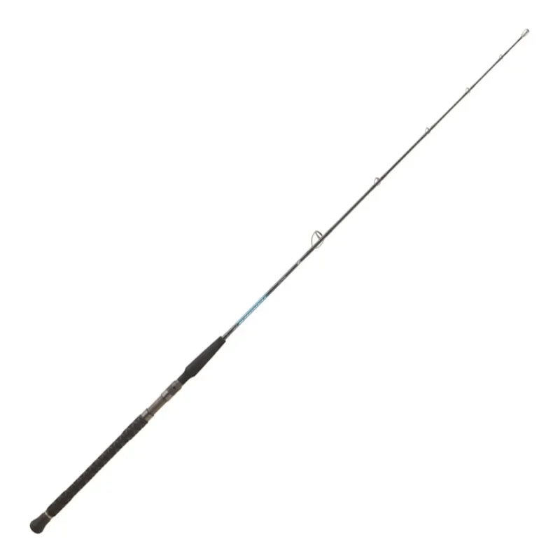 Authentique Daiwa Canne jigging Harrier 2 Sections
