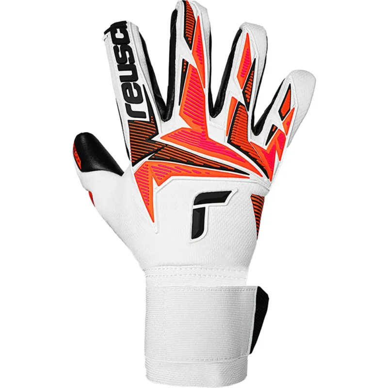 Reusch Gants de gardien de but Attrakt Freegel Gold X Promotion